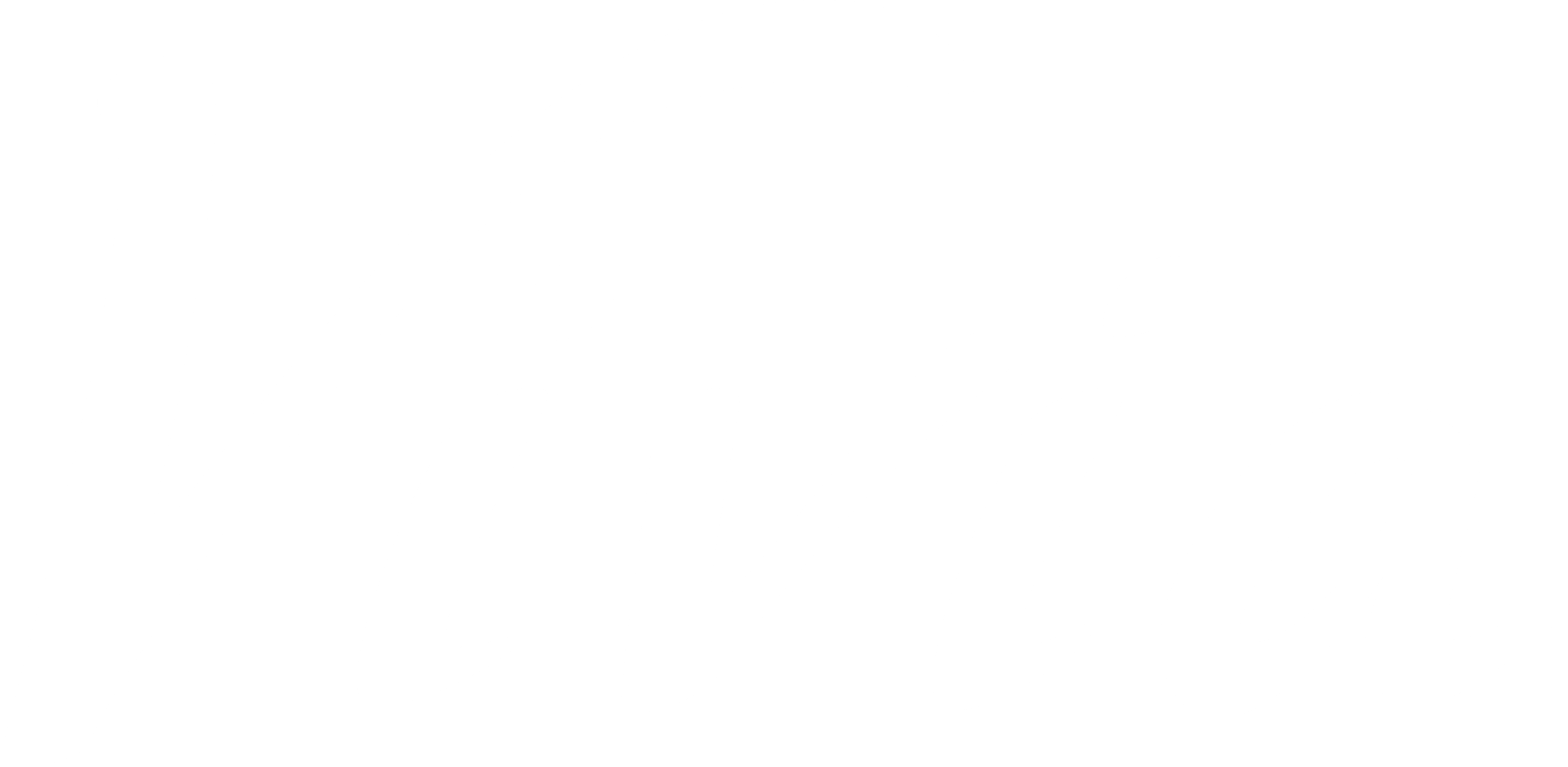 Vivia Cares Inc